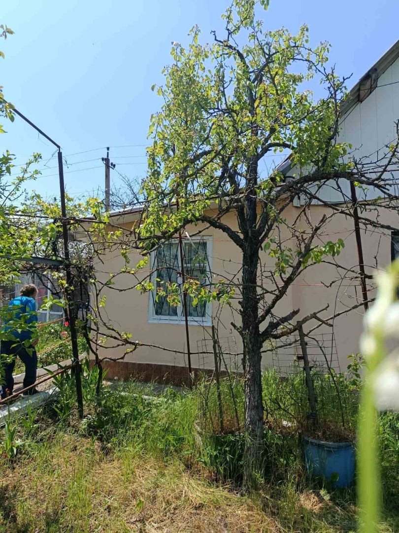 продажа дома номер H-174807 в Светлом, фото номер 13